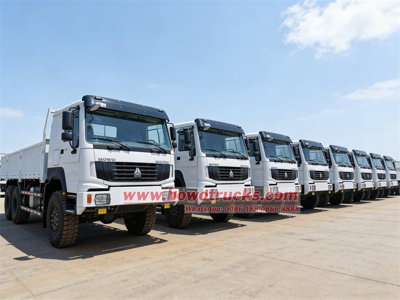 HOWO 6&times;6 cargo box trucks